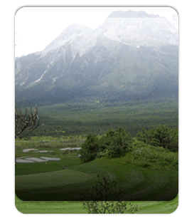 Golf tournament management system