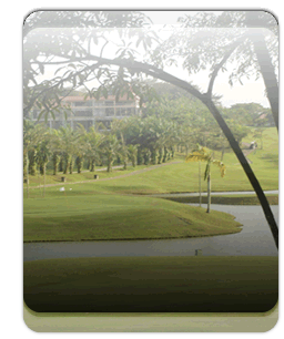 Golf tournament software