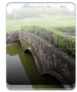 Buy or rent golf tournament management system